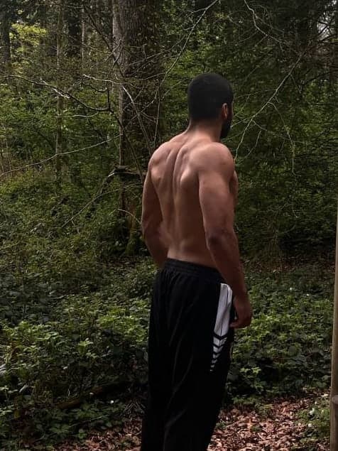 Rodrigue von hinten im Wald, zwischen Bäumen